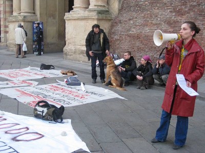 bologna prende casa