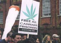manifestazione pro-cannabis